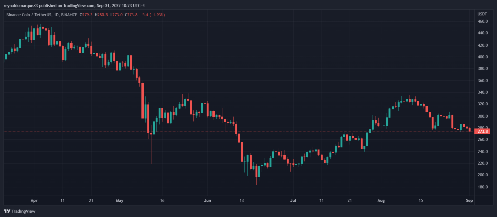 Binance Coin Crypto BNBUSDT BNB