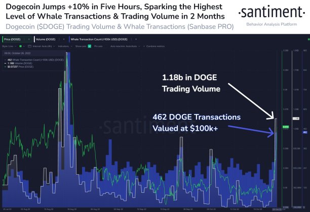 dogecoin volume