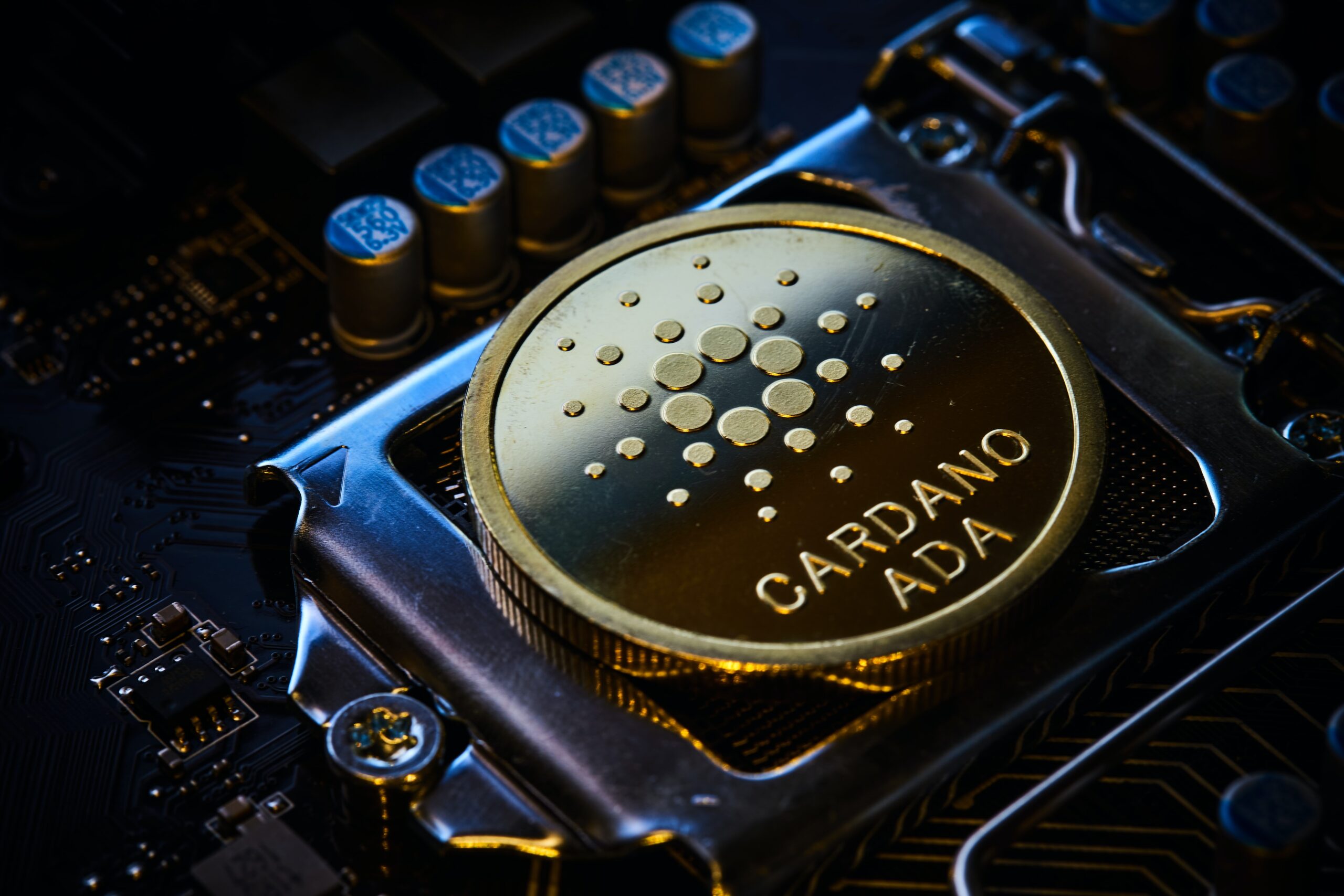 Cardano ADA NFTs