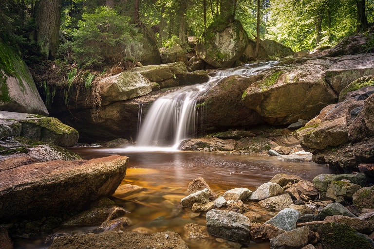 River Financial, a river in the woods