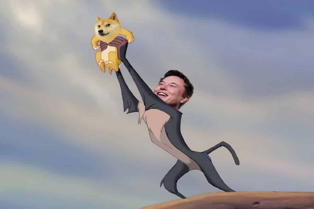 Elon Musk Dogecoin