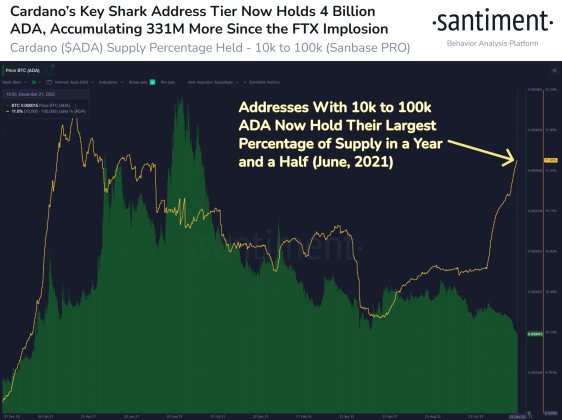 Cardano ADA