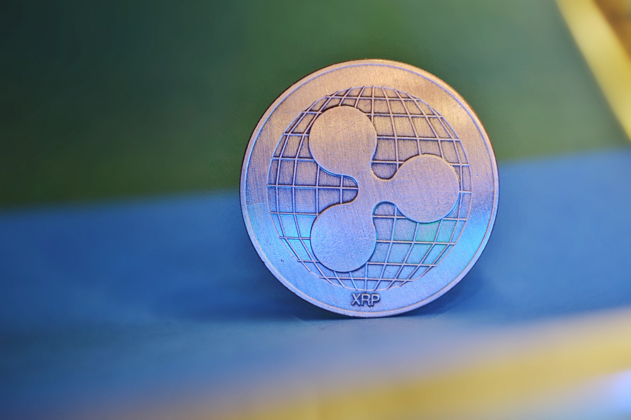 Amicus Curiae In Ripple (XRP) Vs. SEC Case Files New Request