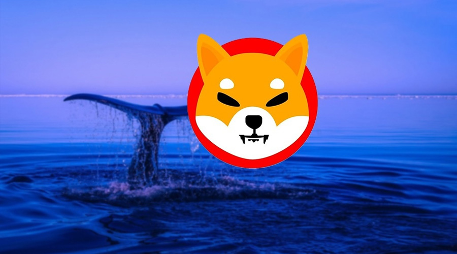 Shiba Inu Ethereum whales