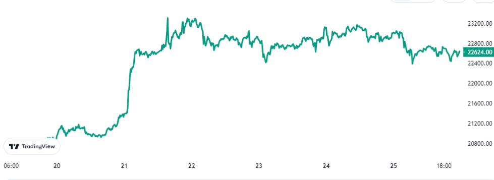 Bitcoin Price Chart