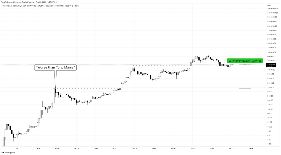 bitcoin tulip mania BTCUSD_2023-02-03_13-27-36