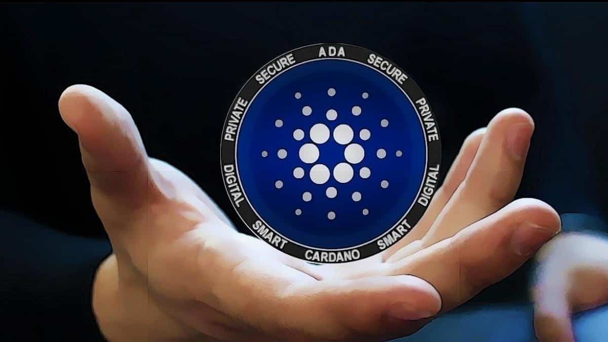 Cardano (ADA) holders