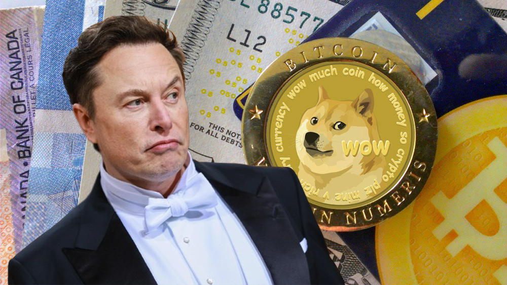 Dogecoin Elon Musk