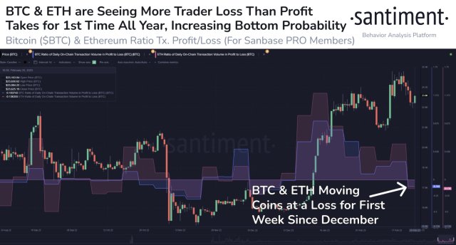 Santiment bitcoin and ethereum