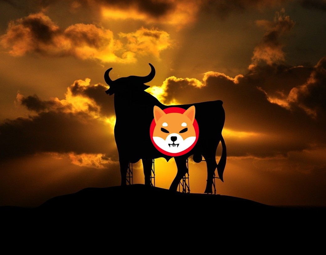 Shiba Inu bull