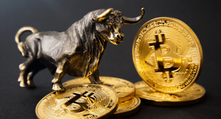 bitcoin bull