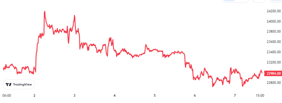 Bitcoin Price Chart