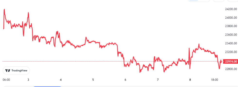 Bitcoin Price Chart