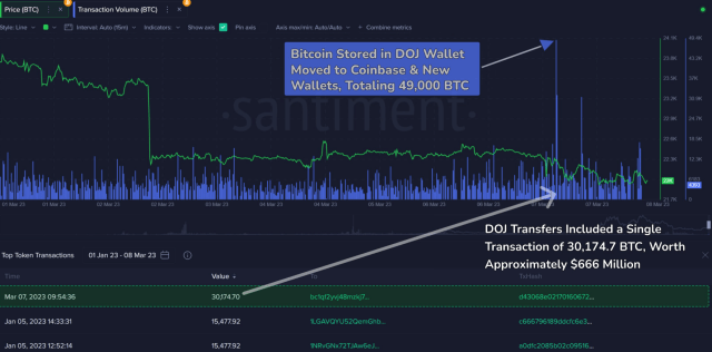 Top Altcoins Records Massive Whale Transaction Amid Market Downtrend