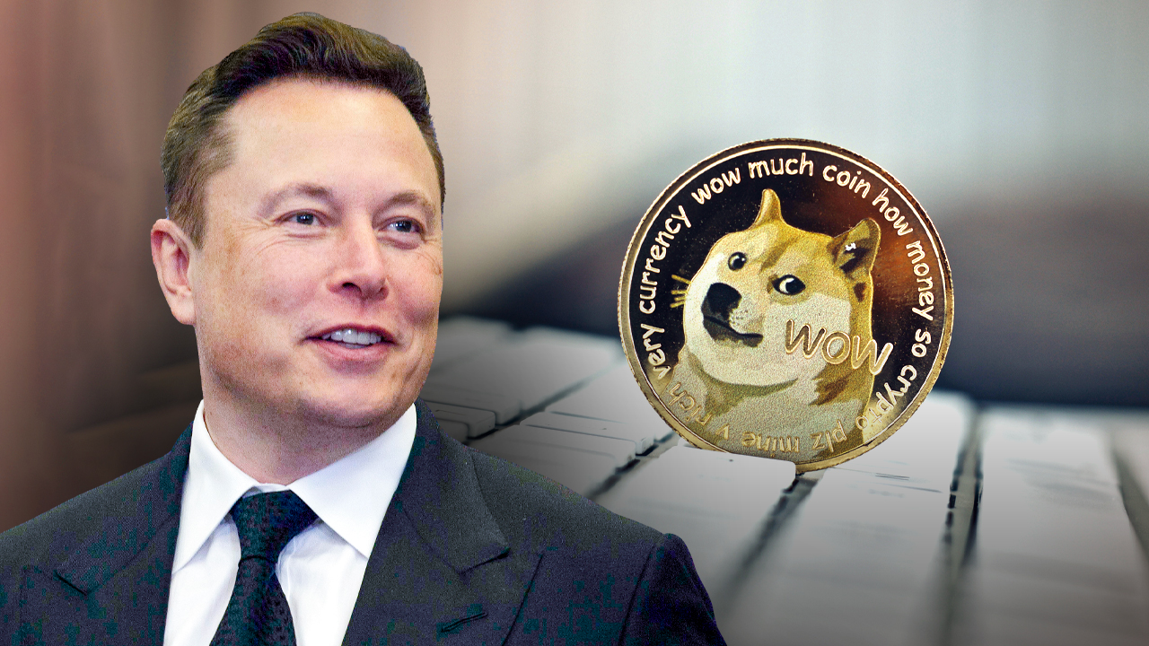 Elon Musk Dogecoin Twitter