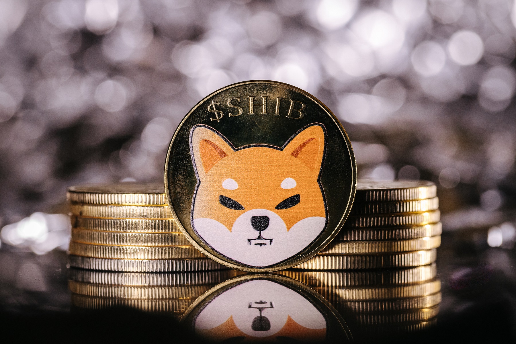 Shiba Inu cryptocurrency