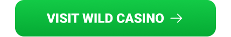 Visit Wild.io Casino