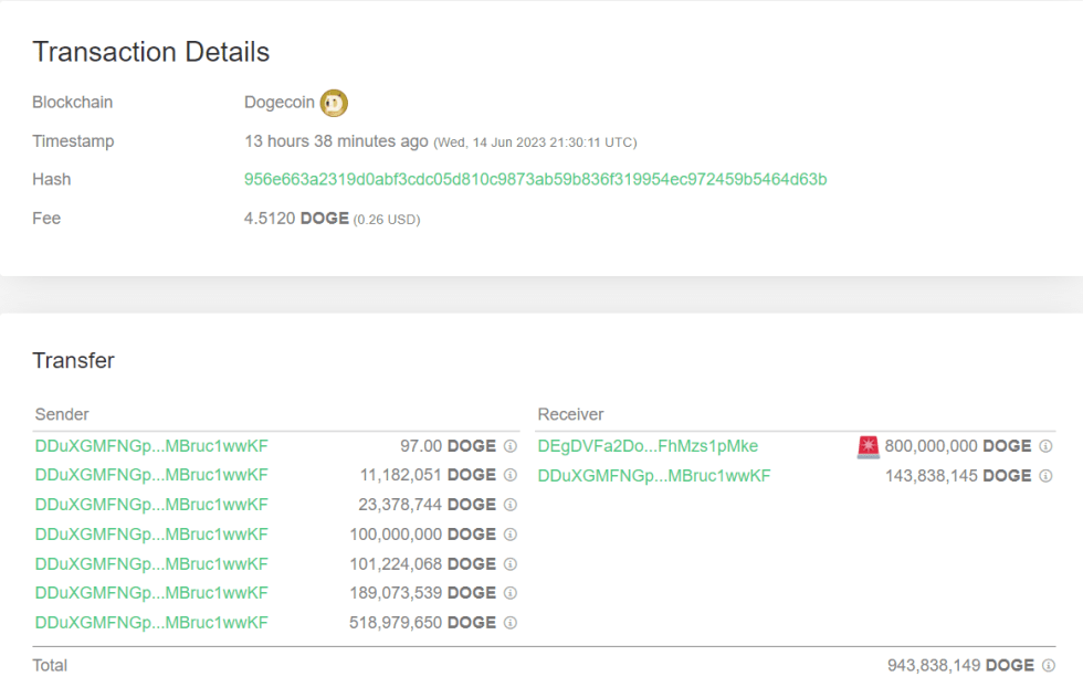 Dogecoin Massive Transaction