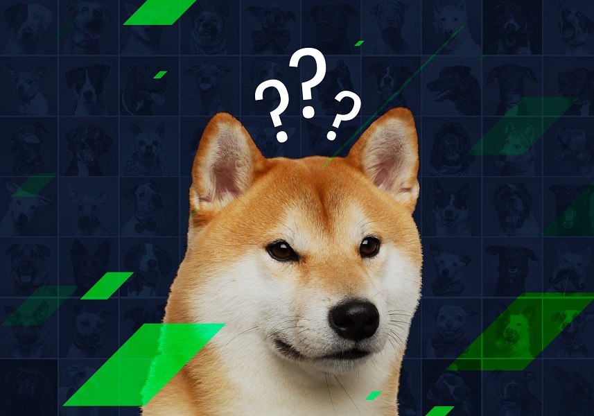 Shiba Inu founder