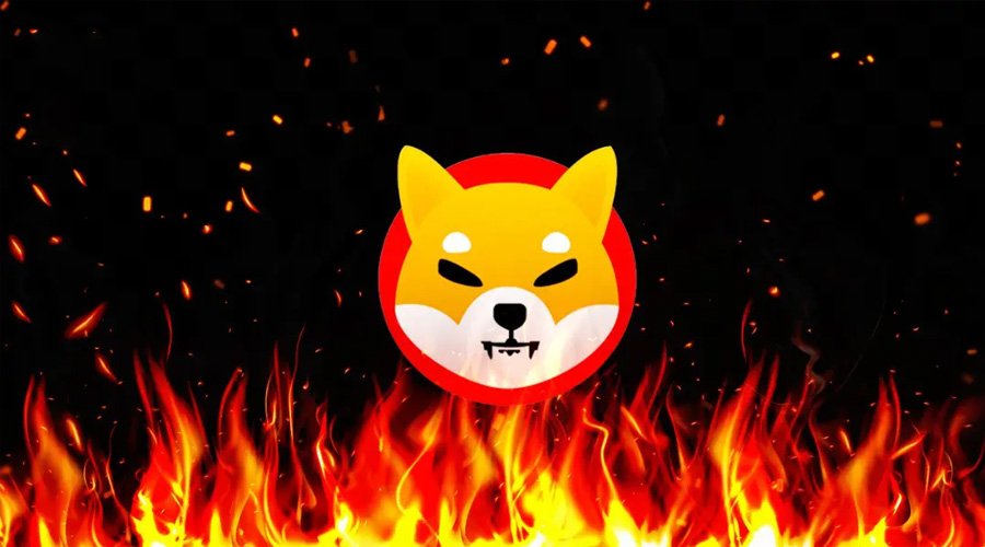 Shiba Inu burn bear