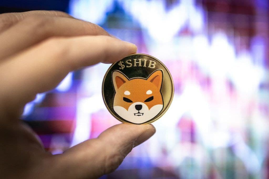 Shiba Inu price