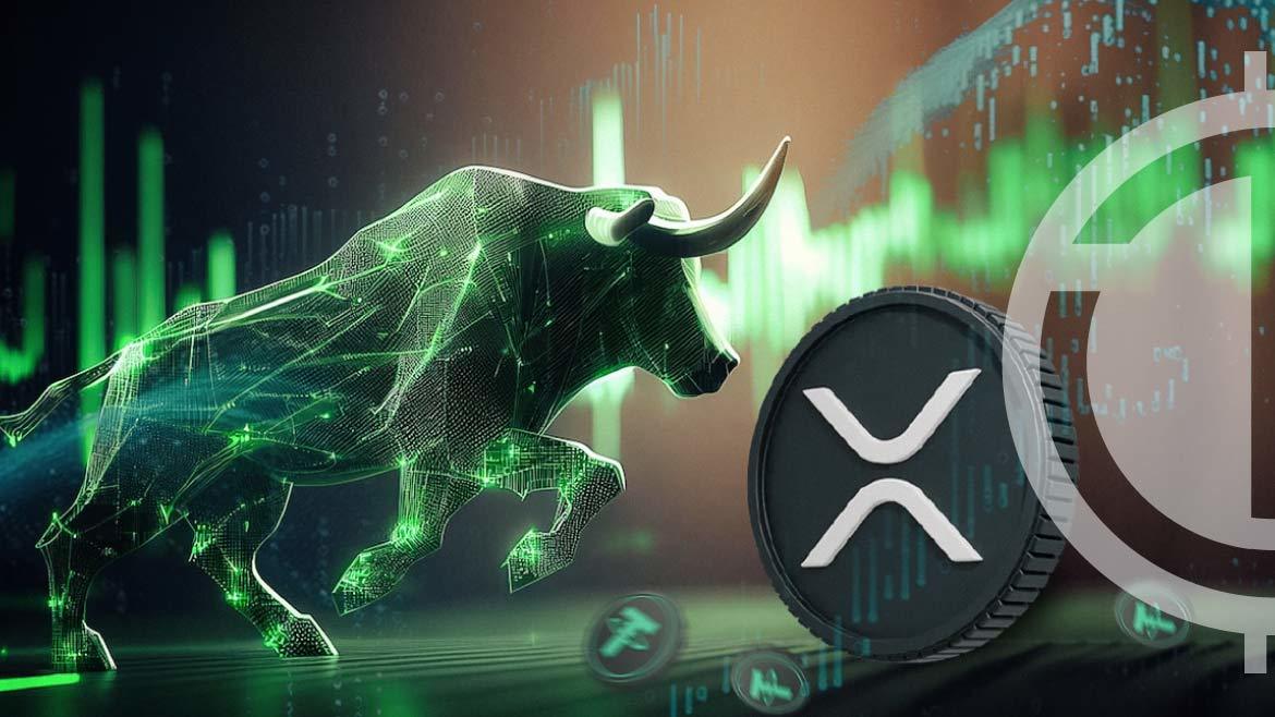 XRP price bull