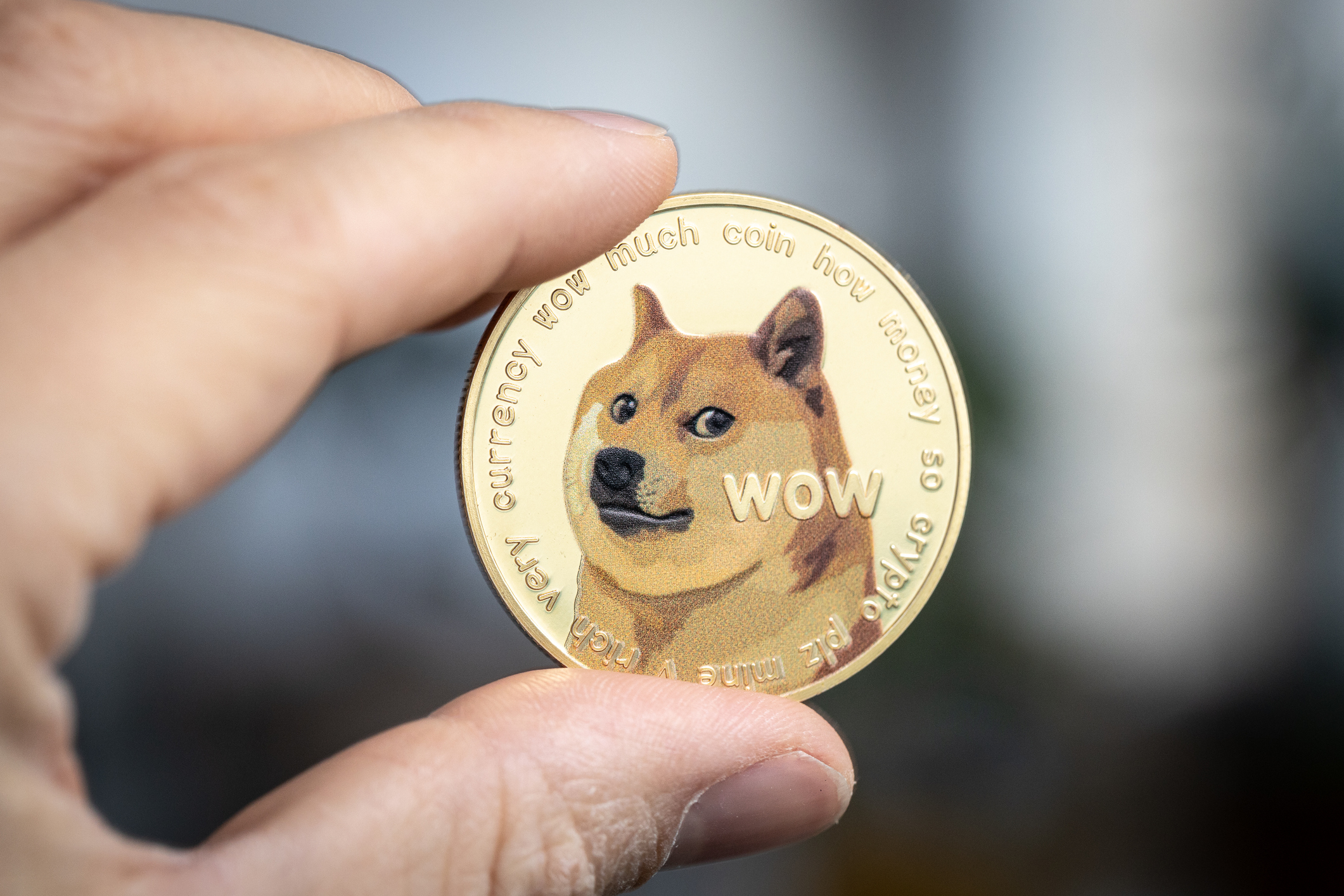 Dogecoin Elon Musk