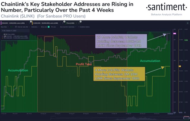 Chainlink LINK whales