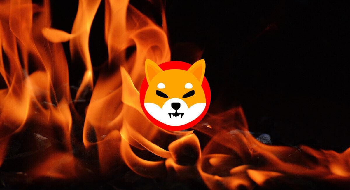 Shiba Inu SHIB burn