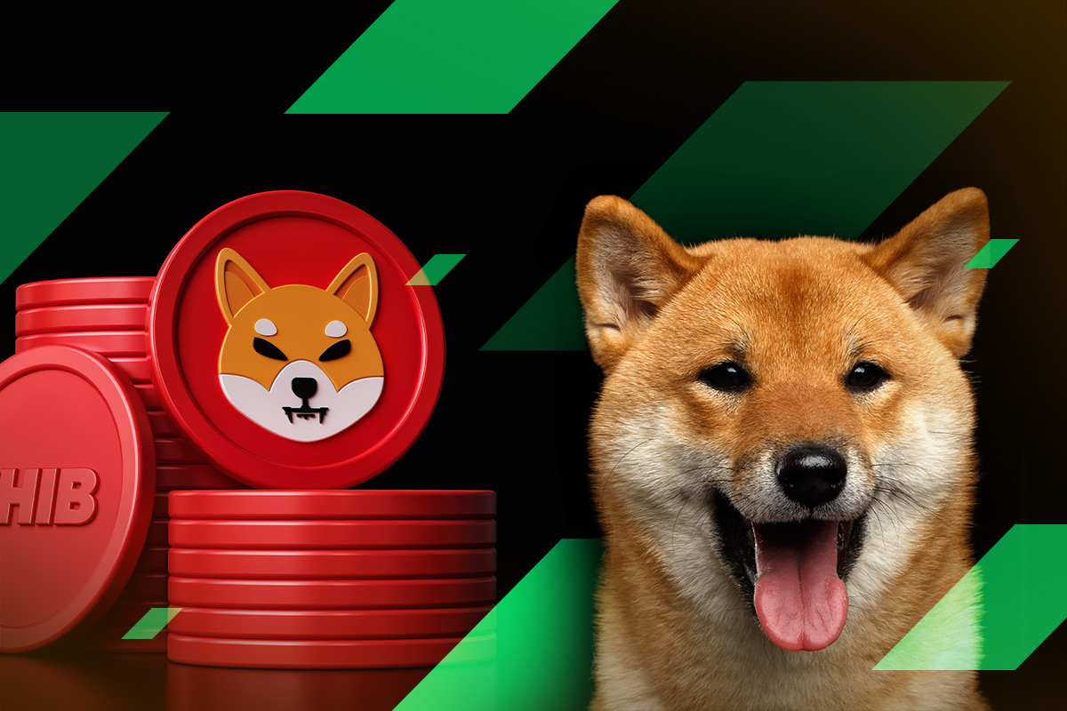 Shiba Inu investor $5 billion