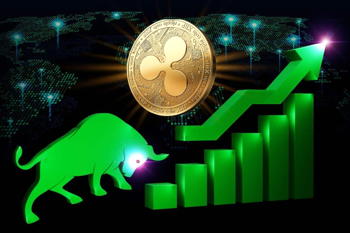 XRP Price bull