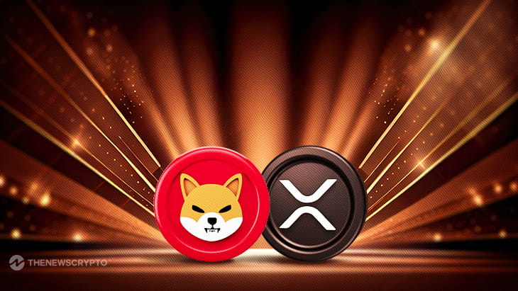 Shiba Inu XRP BitTrade