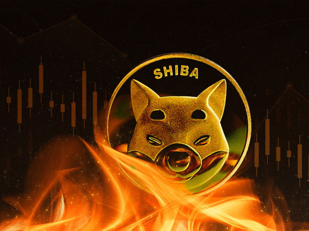 Shiba Inu