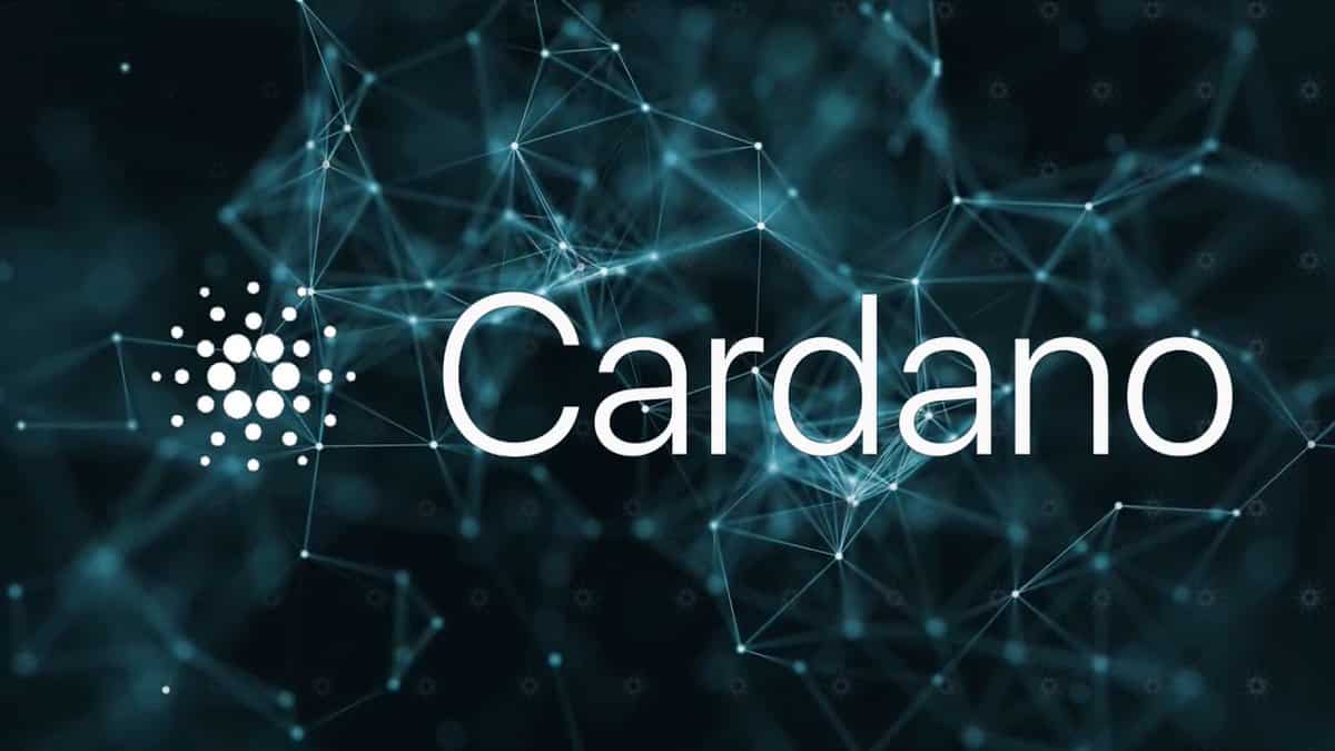 Cardano Foundation