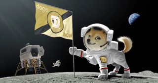 Dogecoin DOGE-1