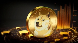 Dogecoin Small