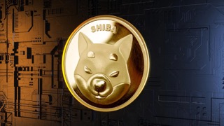 Shiba Inu lead dev announcement Small