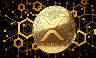 XRP Small