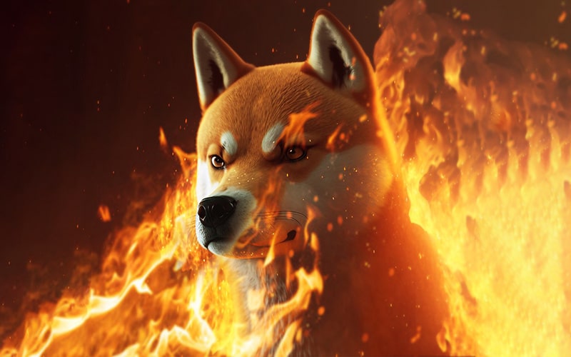 Dogecoin Shiba Inu Floki