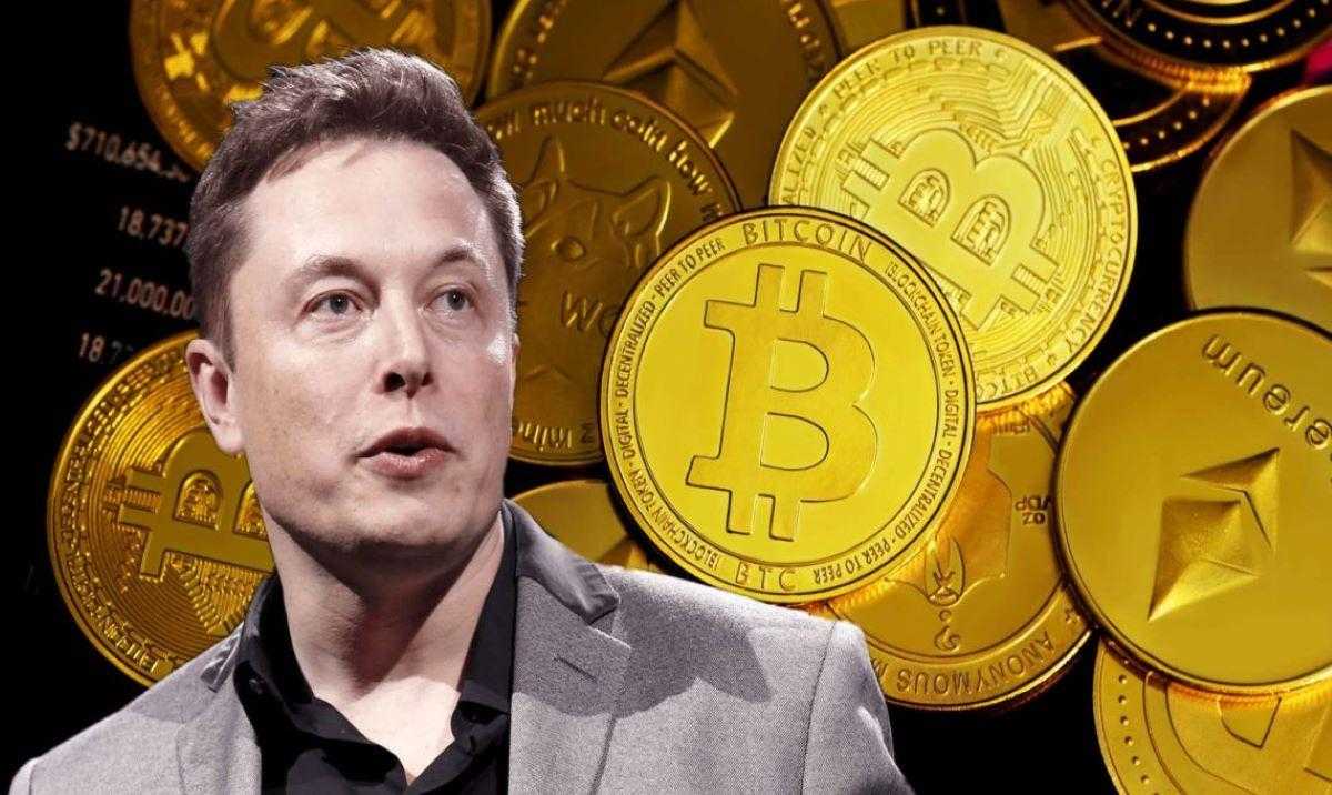 Bitcoin Elon Musk