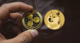 Ripple CEO Dogecoin