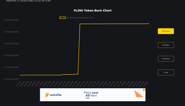 FLOKI burn