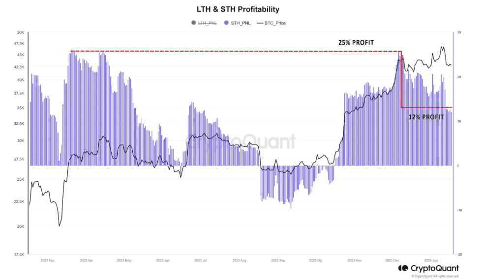 Long term Holders and Short term Holder profitability.