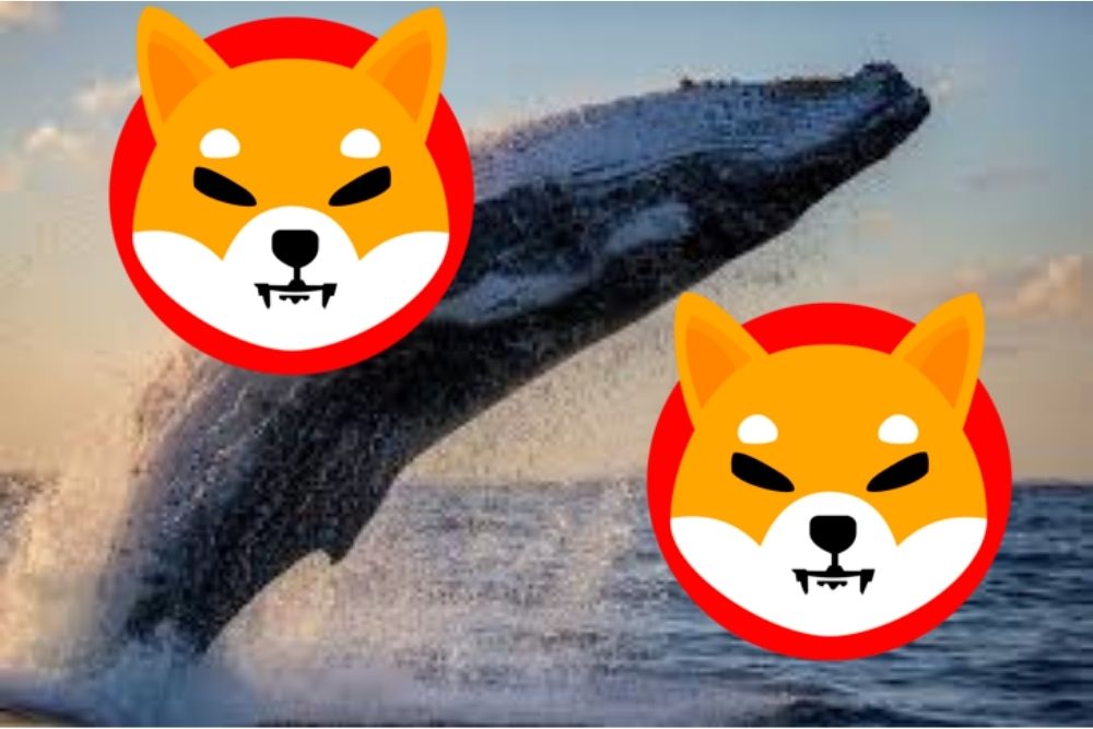 Shiba Inu whales