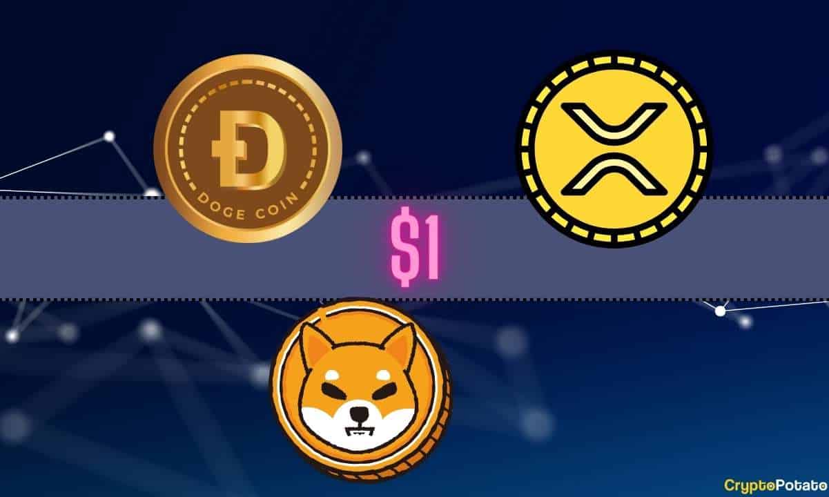 DOGE SHIB XRP