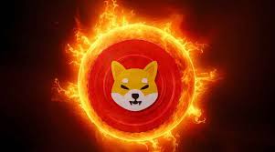 Shiba Inu burn