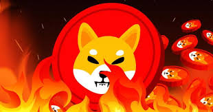 Shiba Inu burn