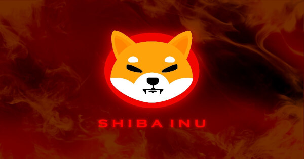 Shiba inu