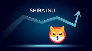 Shiba Inu