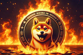 Shiba Inu burn